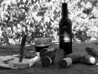 thumbs vino e formaggio sw  214 Mountainzones in Schwarz und Weiss